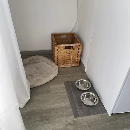 Cozy On The * Αντίμπ