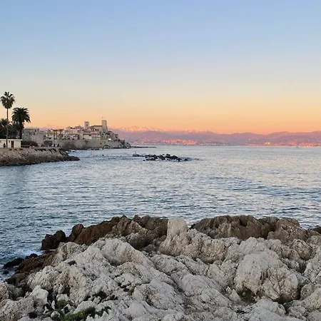 Daire Cozy On The Antibes