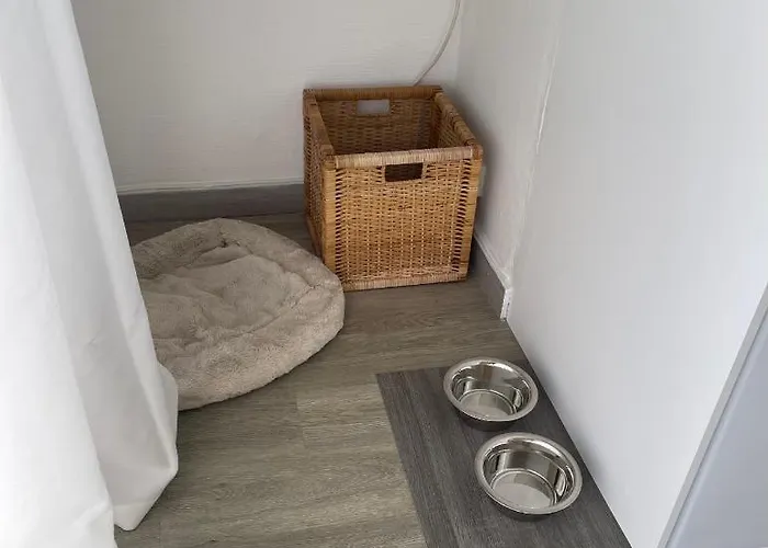 Cozy On The * アンティーブ